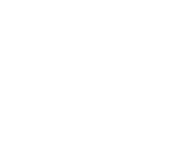 Slim Doc — Dr. Renato Vidigal
